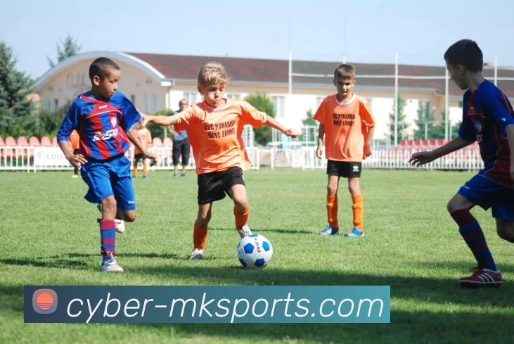 多媒体互动体验